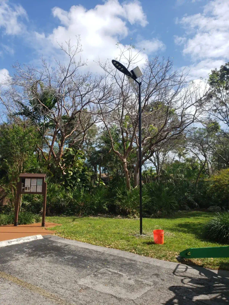 Solar Street Pole Lights Installation 6